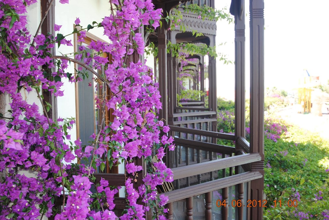 imagini hotel LETOONIA GOLF BELEK